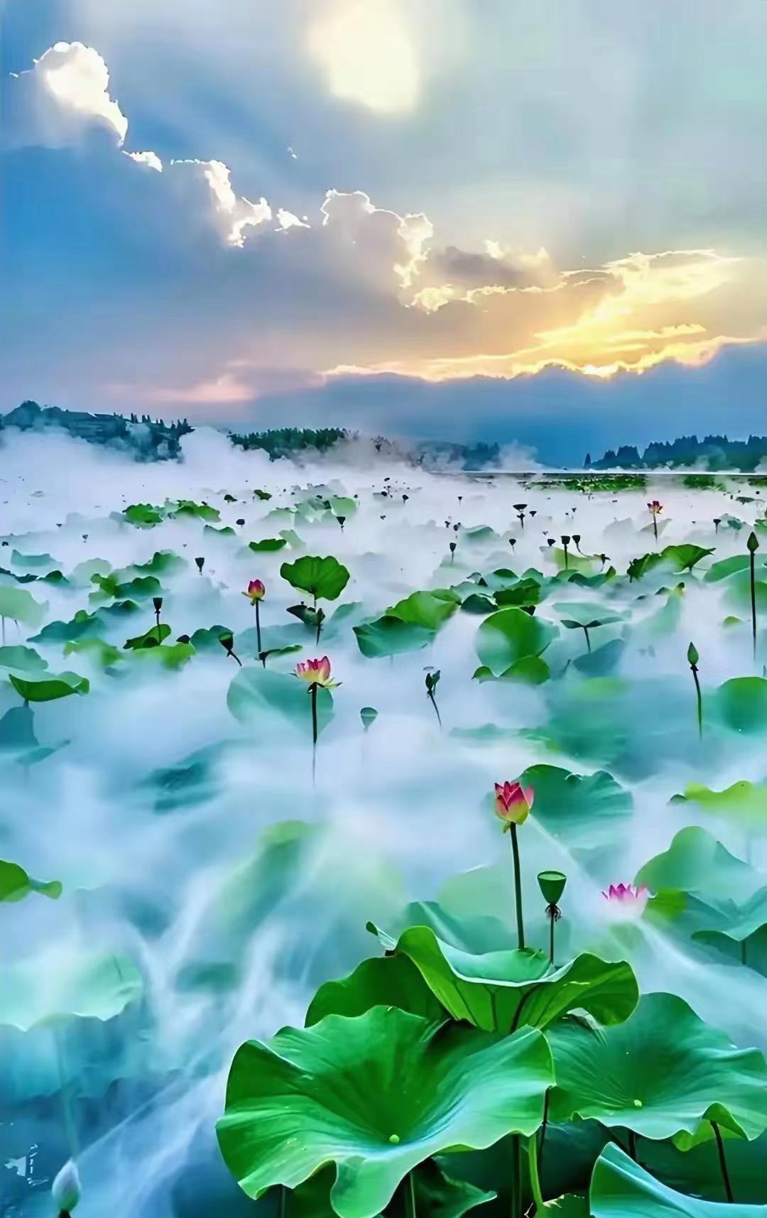 心态健康调节器